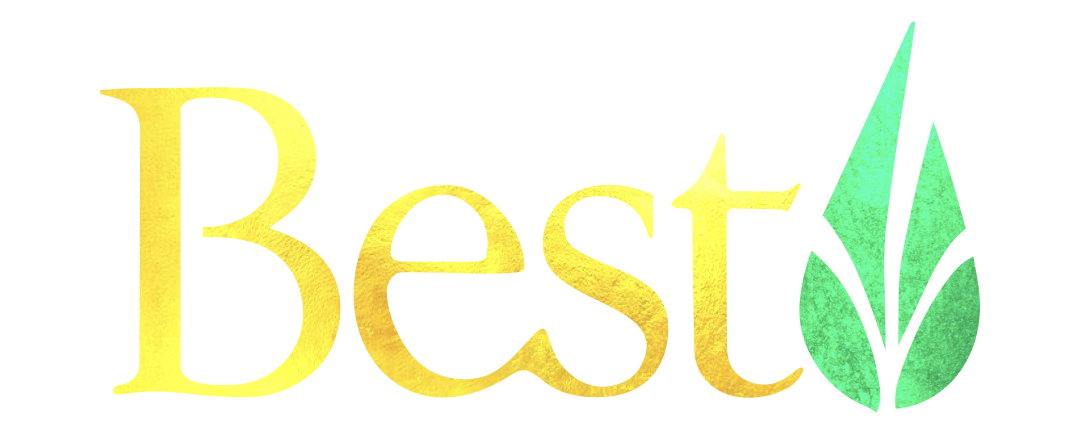 Best Logo